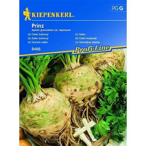 Korijen Celera Prinz slika 1 interface.art 86526