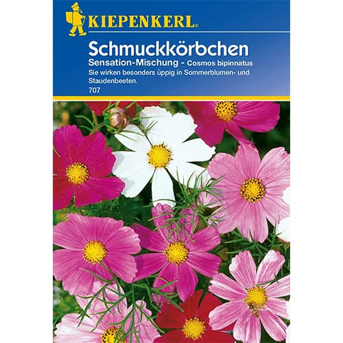 Kosmos Sensation, višebojna mješavina slika 1 interface.art 77400