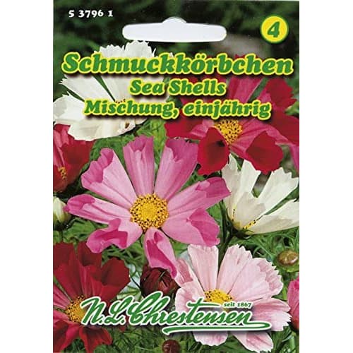 Kozmeja Sea Shells, mix multicolor slika 1 interface.art 87805