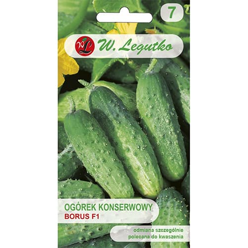 Krastavac Borus F1 slika 1 interface.art 86882