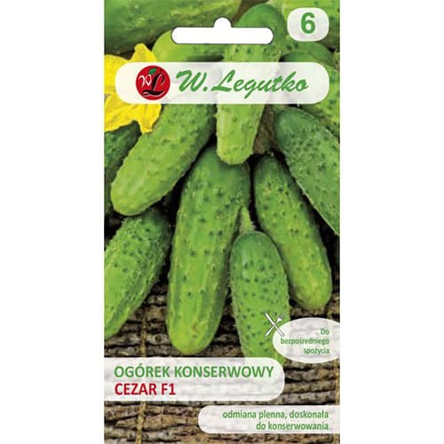 Krastavac Cezar F1 slika 1 interface.art 86874