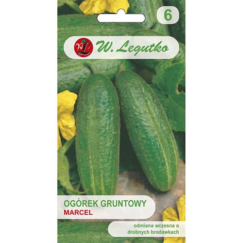 Krastavac Marcel F1 slika 1 interface.art 86877