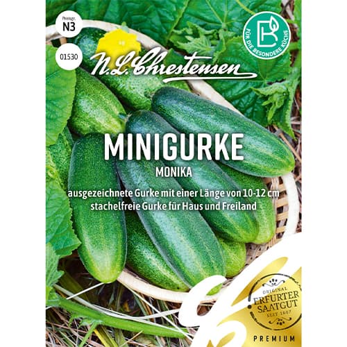 Krastavac Monika slika 1 interface.art 86066