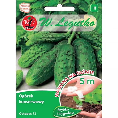 Krastavac Octopus F1 slika 1 interface.art 86878