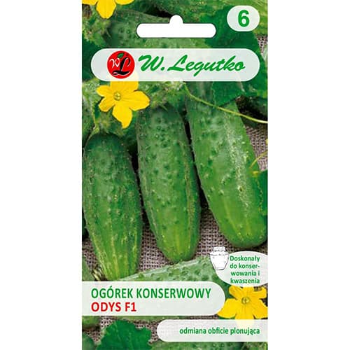 Krastavac Odys F1 slika 1 interface.art 86879