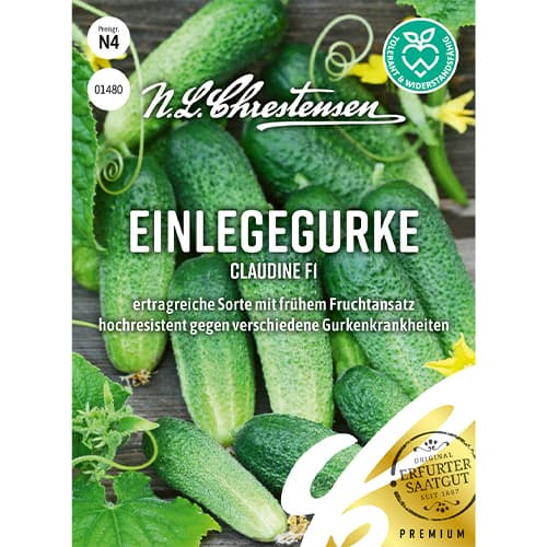 Krastavci Claudine F1 slika 1 interface.art 86034