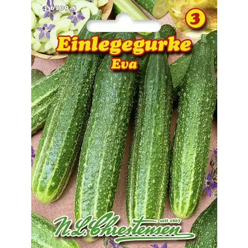 Krastavci Eva slika 1 interface.art 96470