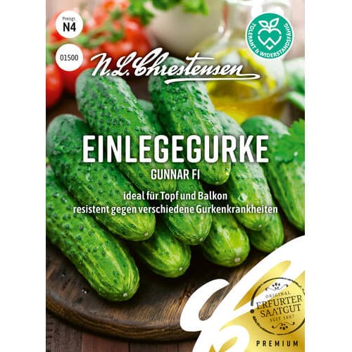 Krastavci Gunnar F1 slika 1 interface.art 86036