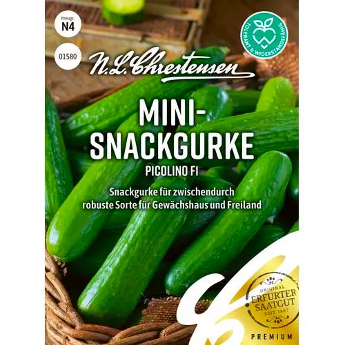 Krastavci Picolino F1 slika 1 interface.art 50051