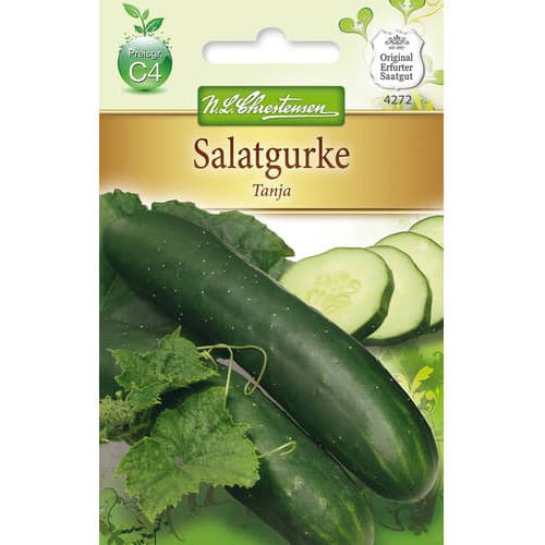 Krastavci Tanja slika 1 interface.art 78792