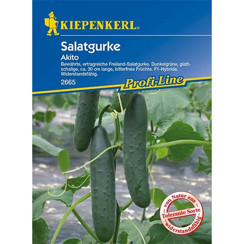 Krastavci za salatu Akito slika 1 interface.art 96667