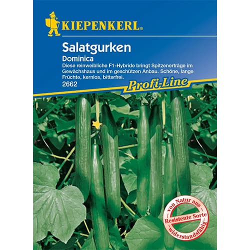 Krastavci za salatu Dominica slika 1 interface.art 96669