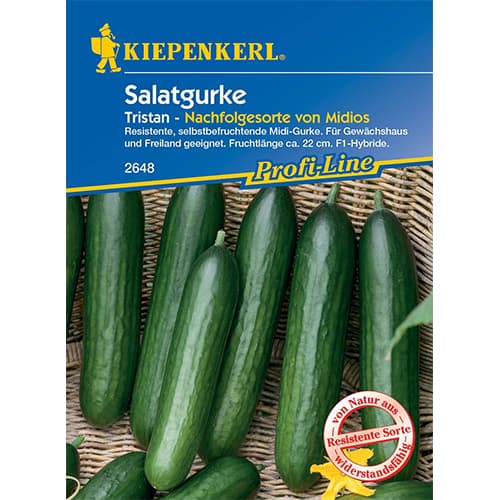 Krastavci za salatu Midele slika 1 interface.art 50023