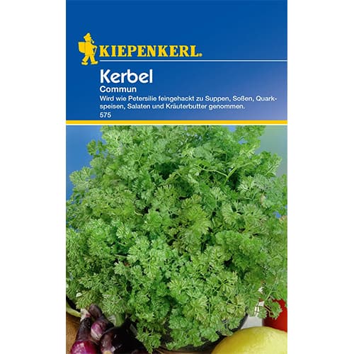 Krasuljica Commun, jednogodišnja slika 1 interface.art 77484