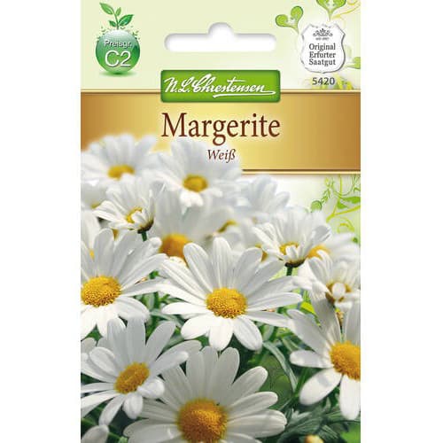 Krizantema White slika 1 interface.art 78972