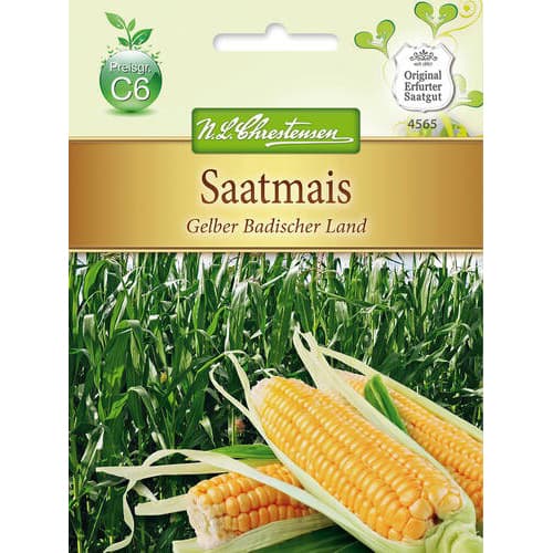 Krmni kukuruz Yellow Baden country slika 1 interface.art 78883