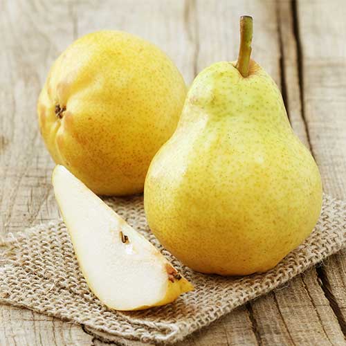 Kruška Highland slika 1 interface.art 7952