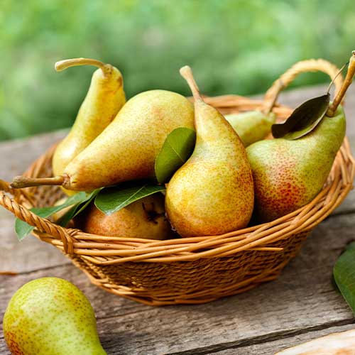 Kruška Krystalia slika 1 interface.art 7951