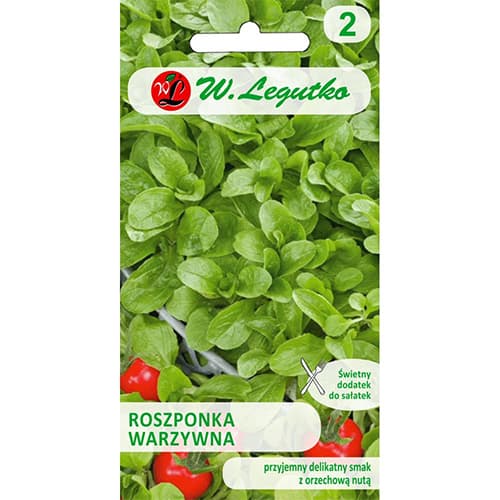 Kukuruz Verte de Cambrai slika 1 interface.art 78497