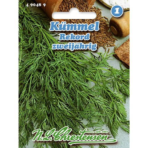 Kumin Rekord, dvogodišnji slika 1 interface.art 86008