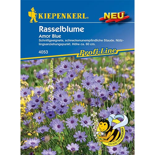 Kupidov Dart (Catananche) Amor Blue slika 1 interface.art 87757