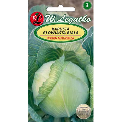 Kupus Ditmarska slika 1 interface.art 78473