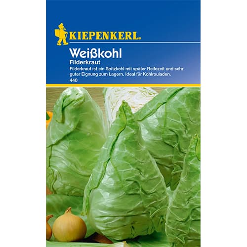 Kupus Filderkraut slika 1 interface.art 77501