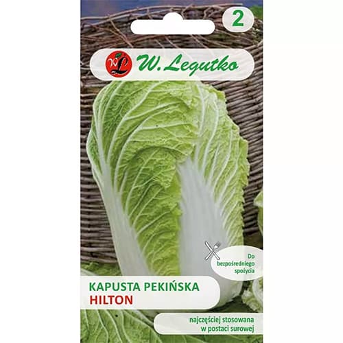 Kupus Hilton slika 1 interface.art 69483