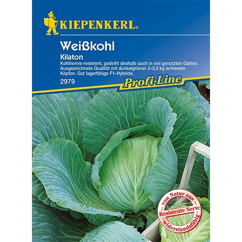 Kupus Kilaton F1 interface.art interface.photo 1 Kupus Kilaton F1 slika 1 interface.art 86555