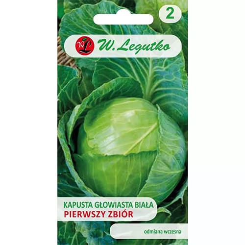 Kupus Prva berba interface.art interface.photo 1 Kupus Prva berba slika 1 interface.art 69482