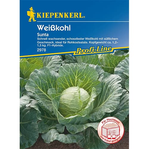 Kupus Sunta F1 interface.art interface.photo 1 Kupus Sunta F1 slika 1 interface.art 87297