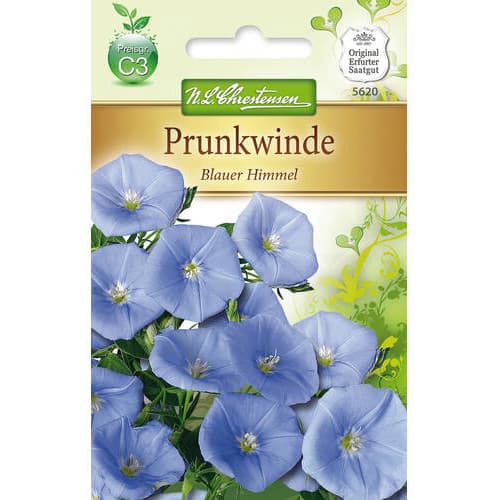 Ladolež Blauer Himmel slika 1 interface.art 78984