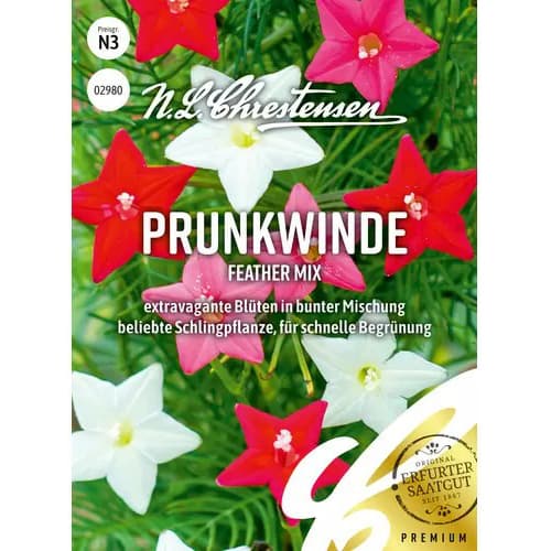 Ladolež Feather, mix multicolor slika 1 interface.art 87816