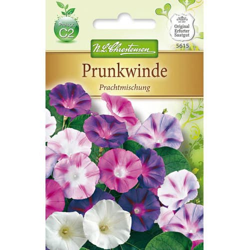 Ladolež, mix multicolor Chrestensen slika 1 interface.art 78983