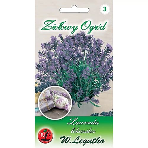 Lavanda Legutko slika 1 interface.art 69675