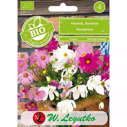 Leptir Kosmos, višebojna mješavina slika 1 interface.art 87085