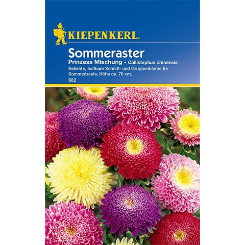 Lijepa kata, Princess, višebojna mješavina slika 1 interface.art 86316