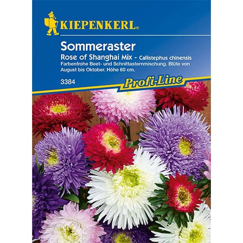 Lijepa kata, Rose of Shanghai interface.art interface.photo 1 Lijepa kata, Rose of Shanghai slika 1 interface.art 86317