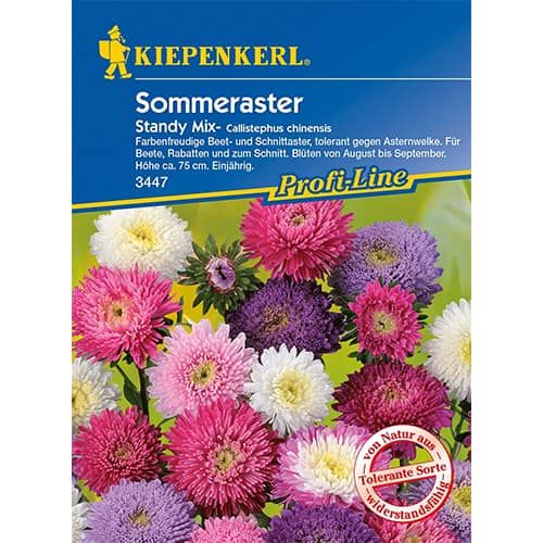 Lijepa kata, Standy, višebijna mješavina interface.art interface.photo 1 Lijepa kata, Standy, višebijna mješavina slika 1 interface.art 96573