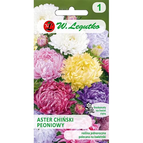 Lijepa kata tip božur, višebojna mješavina slika 1 interface.art 78529