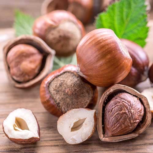 Lijeska Ennis slika 1 interface.art 6934