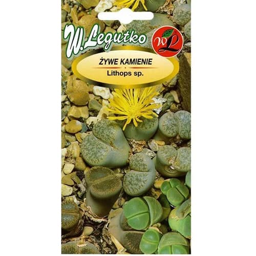 Lithops, višebojna mješavina slika 1 interface.art 69640
