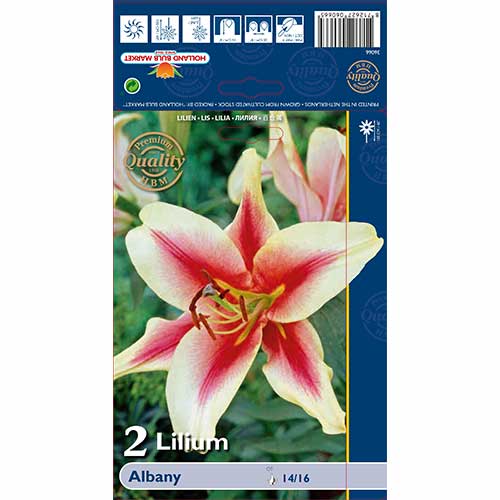 Ljiljan Albany slika 1 interface.art 70232