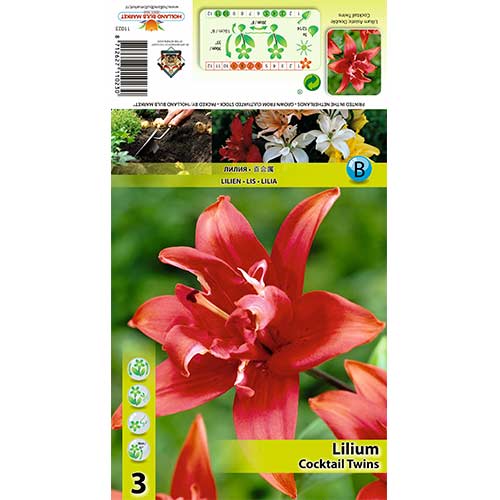 Ljiljan Cocktail Twins slika 1 interface.art 70426