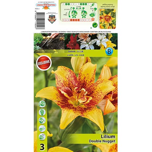 Ljiljan Double Nugget interface.art interface.photo 1 Ljiljan Double Nugget slika 1 interface.art 77820