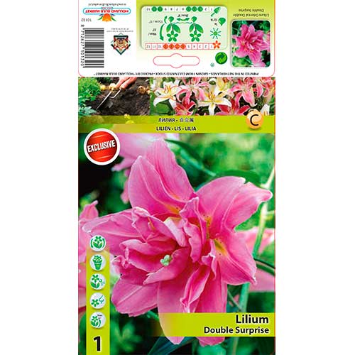 Ljiljan Double Surprise slika 1 interface.art 76307