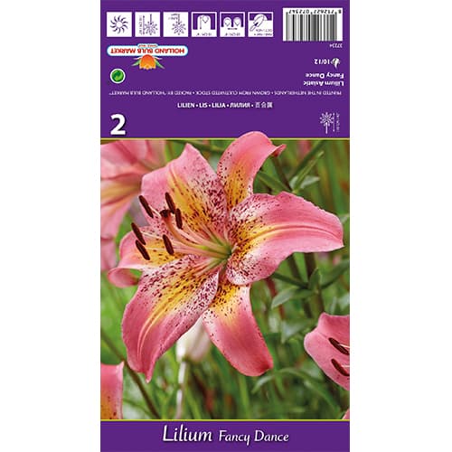 Ljiljan Fancy Dance interface.art interface.photo 1 Ljiljan Fancy Dance slika 1 interface.art 77836