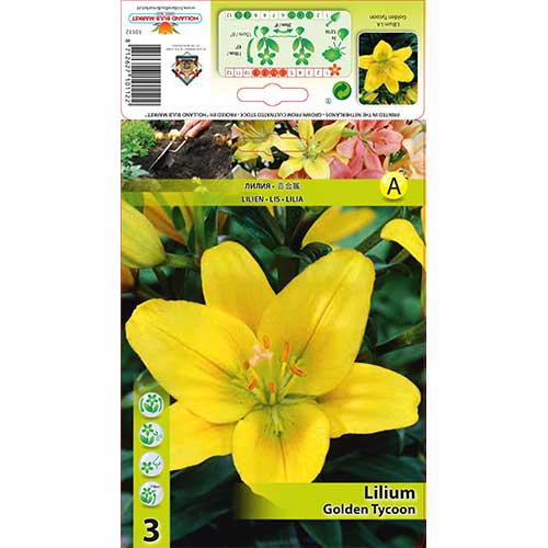 Ljiljan Golden Tycoon slika 1 interface.art 70468