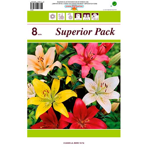 Ljiljan LA-Hybrid mix multicolor slika 1 interface.art 76469