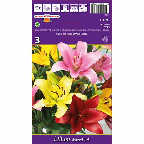 Ljiljan L.A. Mixed interface.art interface.photo 1 Ljiljan L.A. Mixed slika 1 interface.art 70212